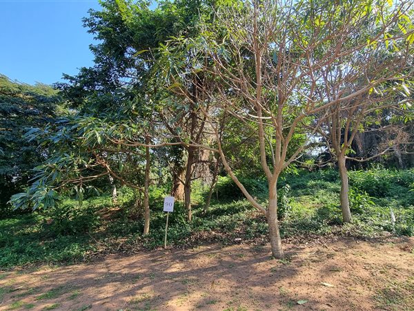 1337 m² Land available in Elaleni Coastal Forest Estate