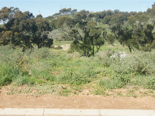 954 m² Land available in Britannica Heights