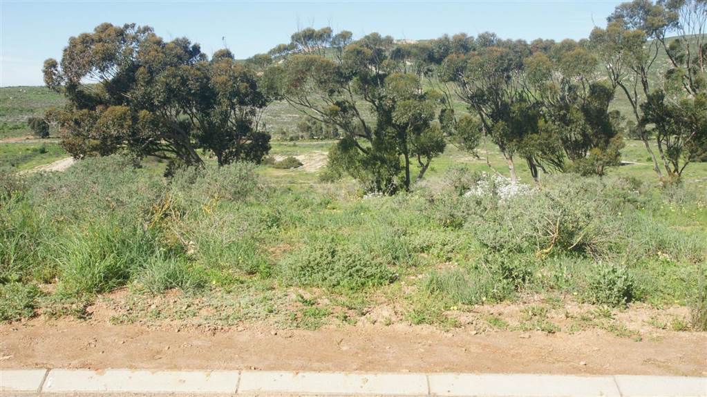 954 m² Land available in Britannica Heights photo number 1