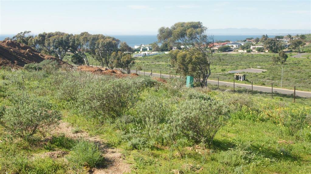954 m² Land available in Britannica Heights photo number 2
