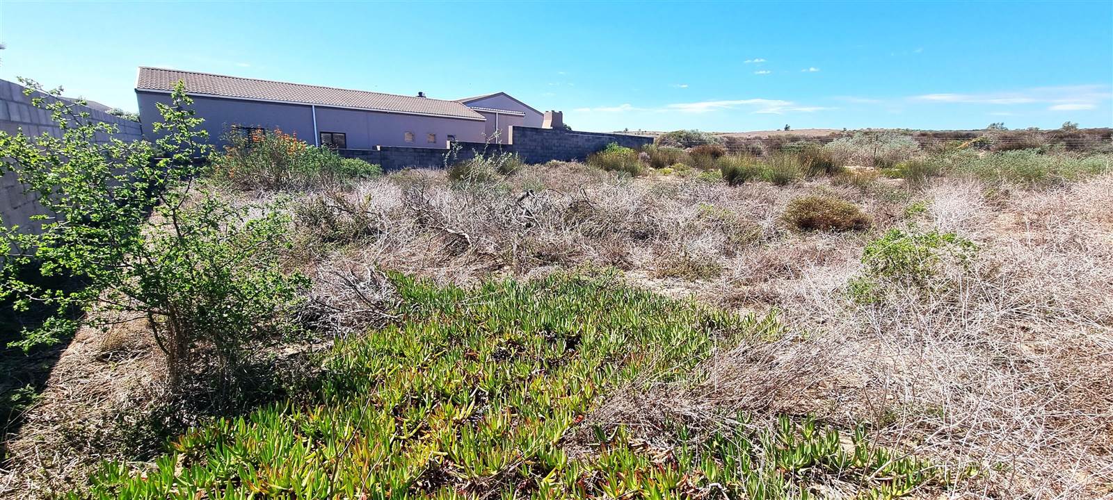 833 m² Land available in Myburgh Park photo number 7