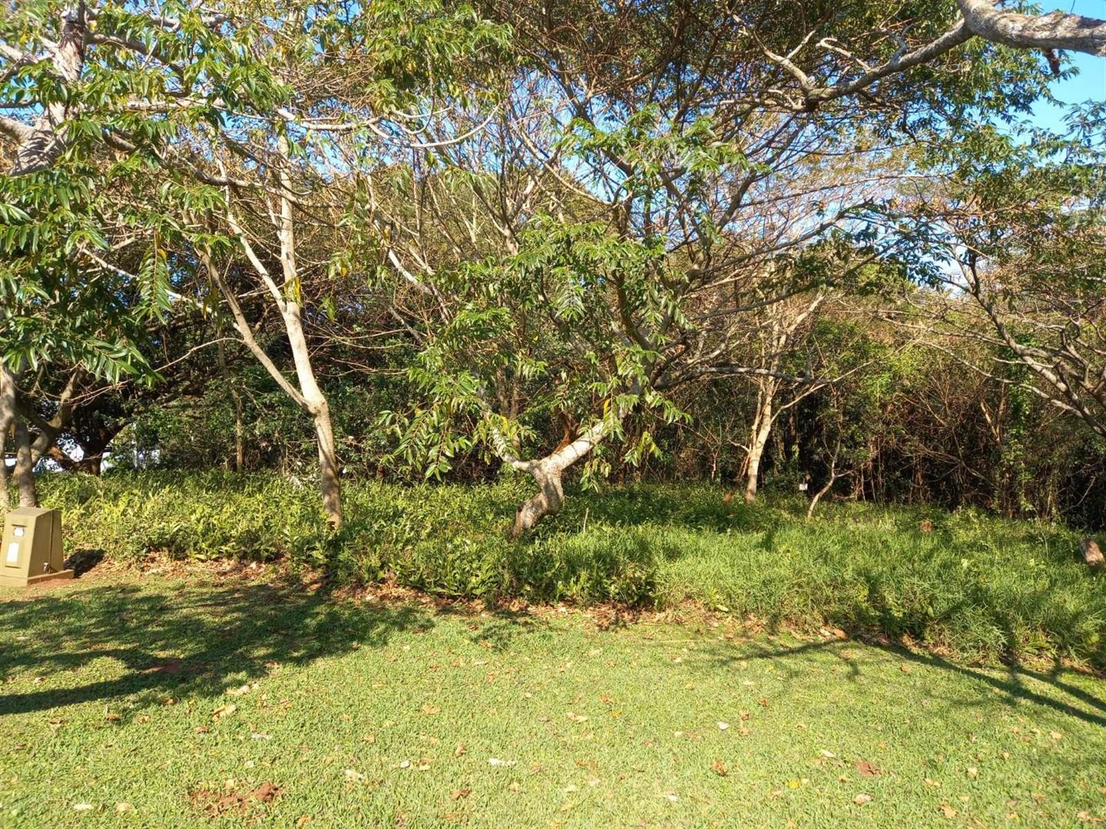 1201 m² Land available in Princes Grant Golf Estate photo number 17