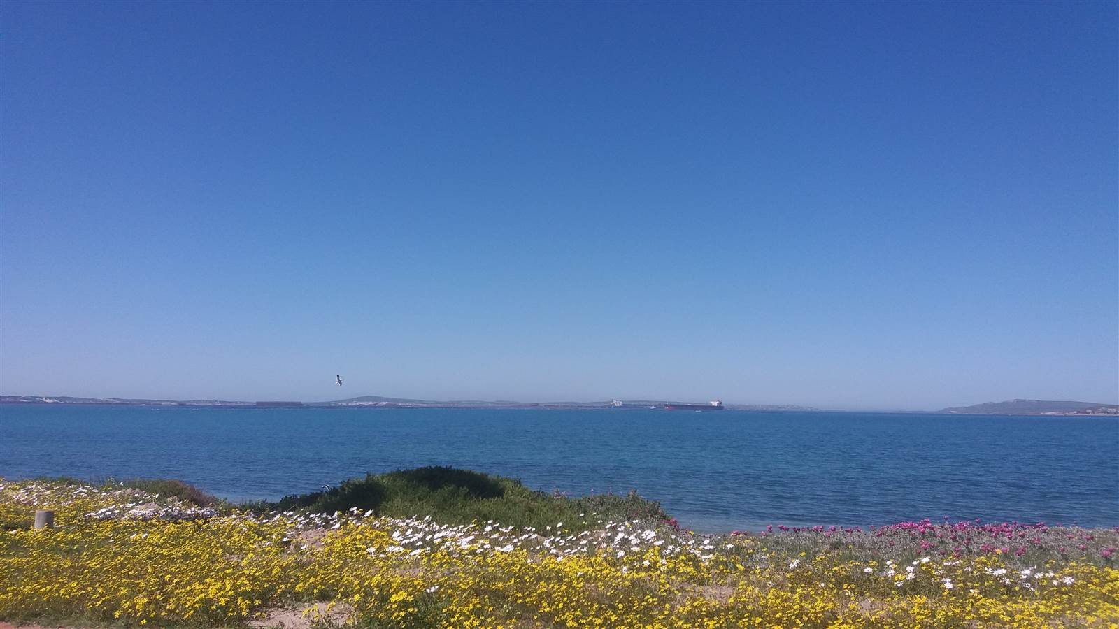 173 m² Land available in Saldanha photo number 12