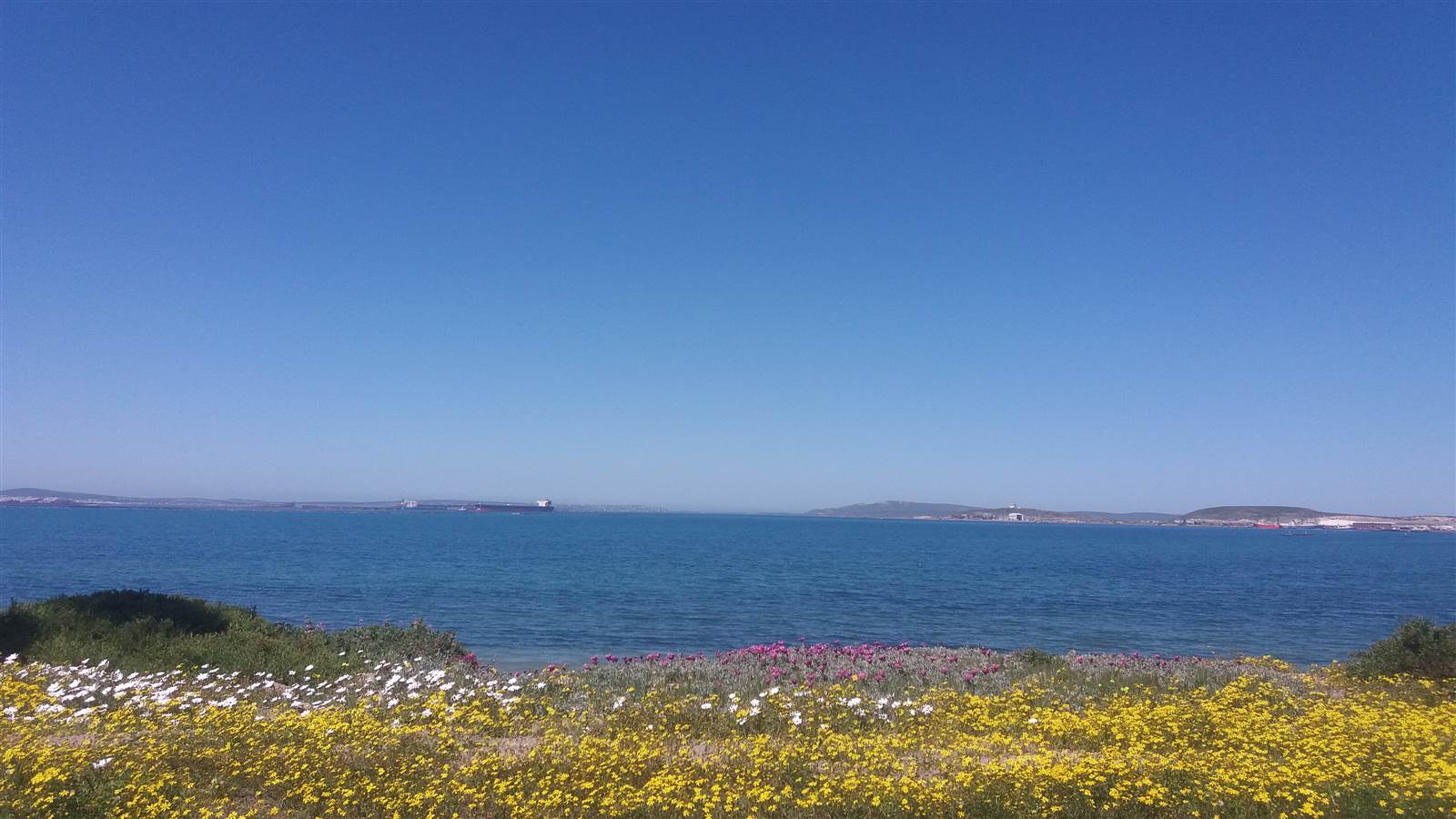 173 m² Land available in Saldanha photo number 13