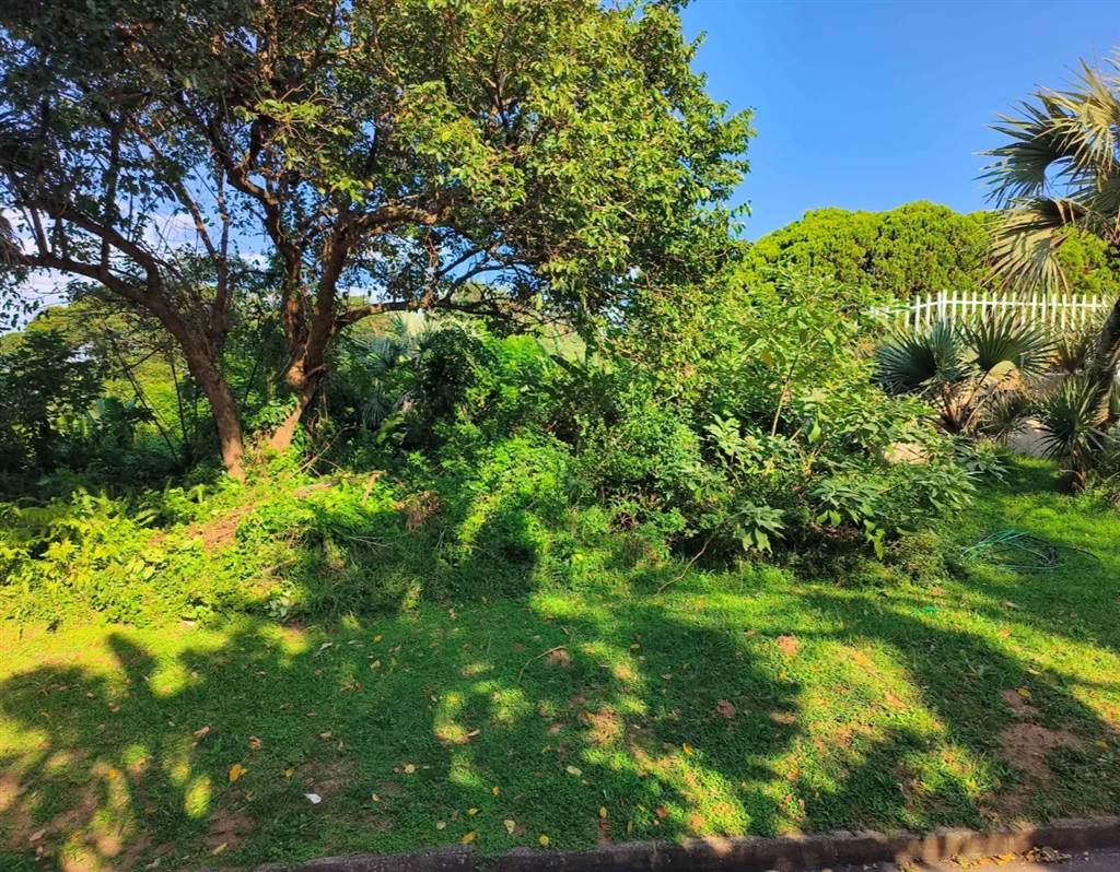 1241 m² Land available in St Michaels on Sea photo number 9