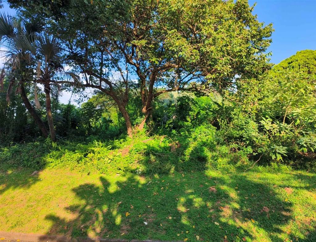 1241 m² Land available in St Michaels on Sea photo number 7