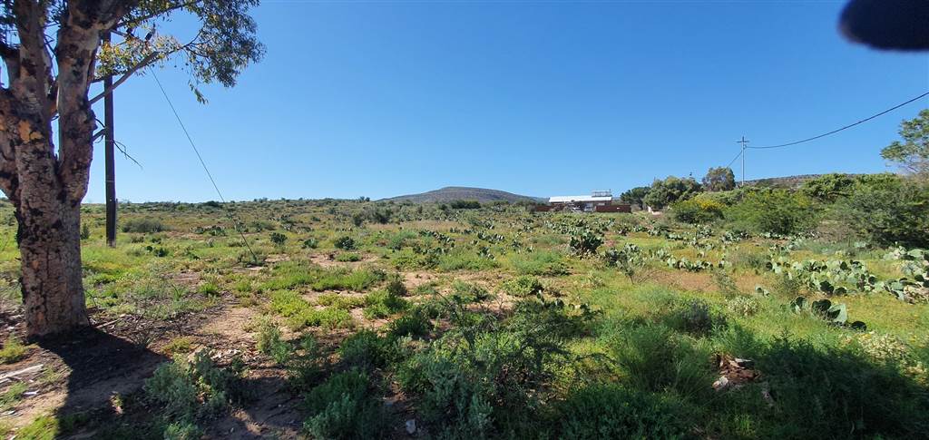 1200 m² Land available in Willowmore photo number 2