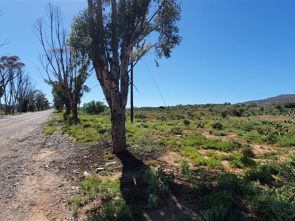 1200 m² Land available in Willowmore