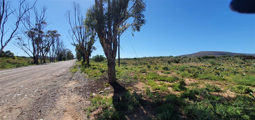 1200 m² Land available in Willowmore photo number 1