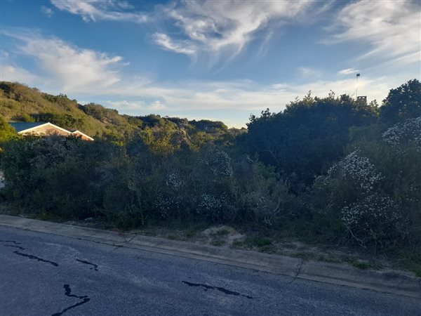 546 m² Land available in Gamtoos Mouth