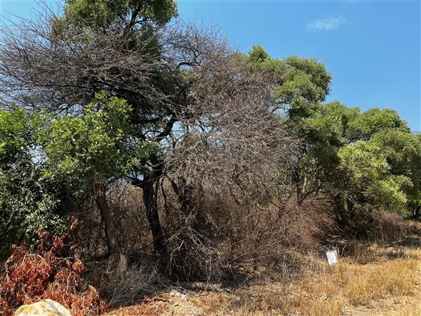 760 m² Land 760 m² Land