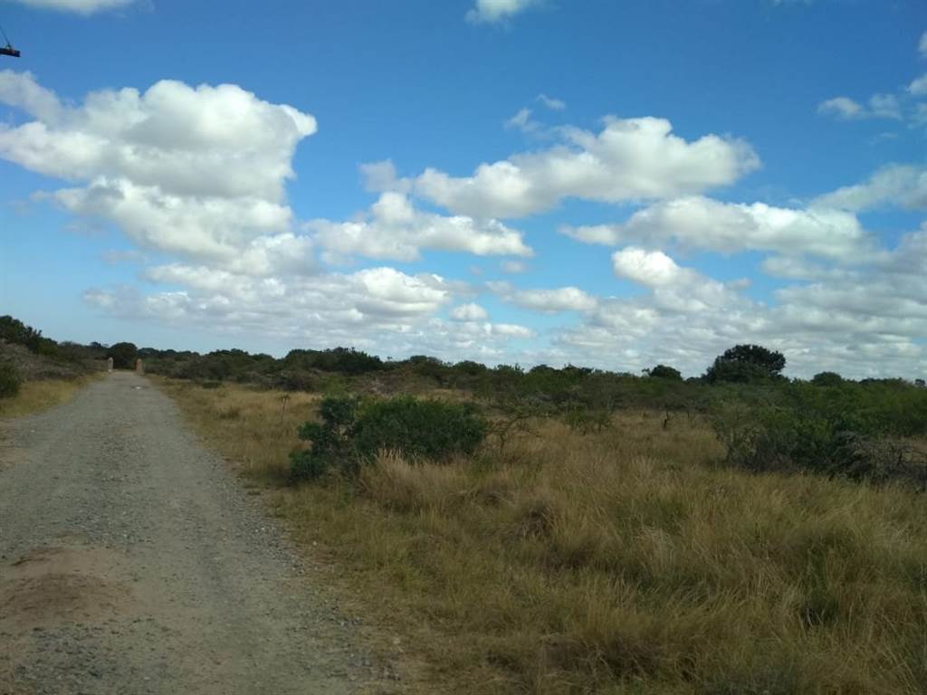 2 ha Land available in Port Alfred photo number 4