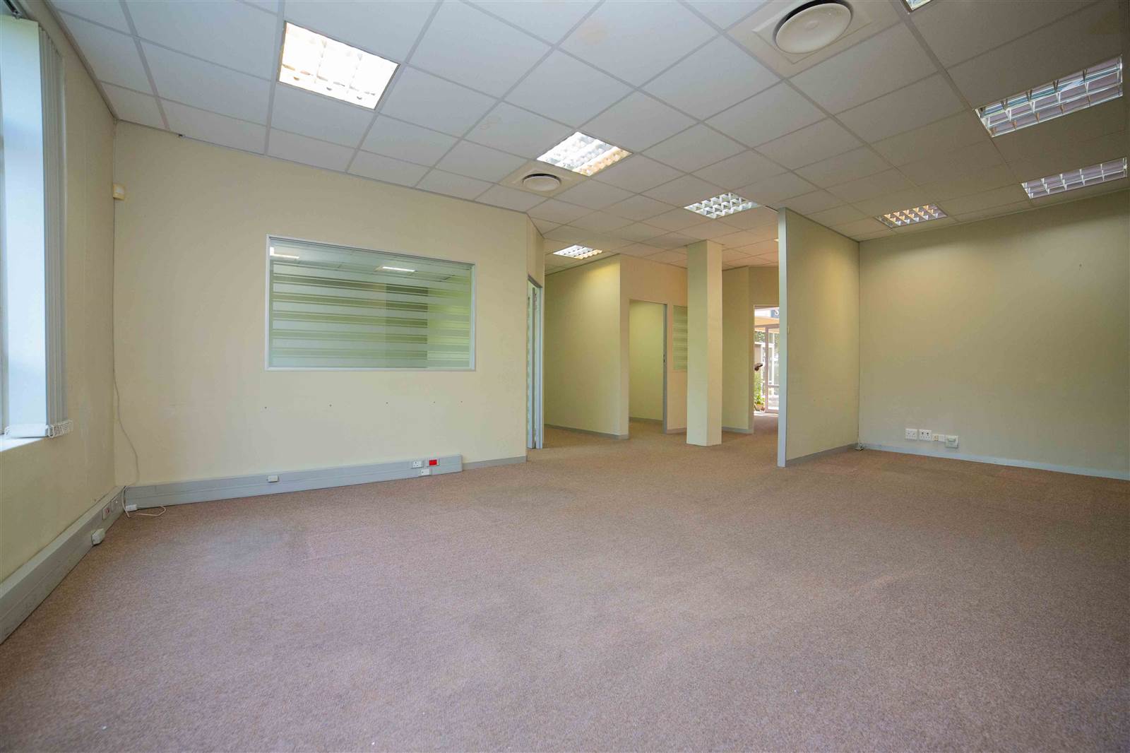 129  m² Commercial space in Clarendon photo number 13