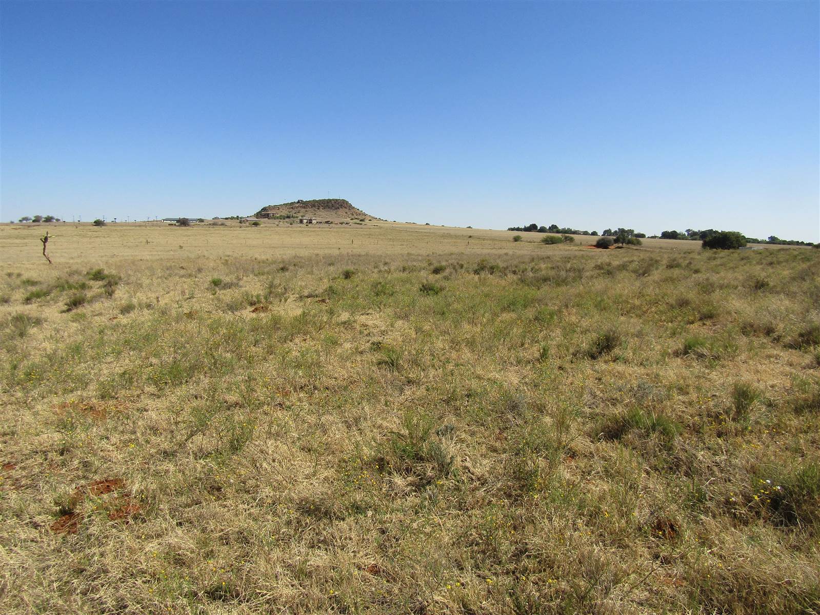 8 ha Land available in Bainsvlei photo number 1