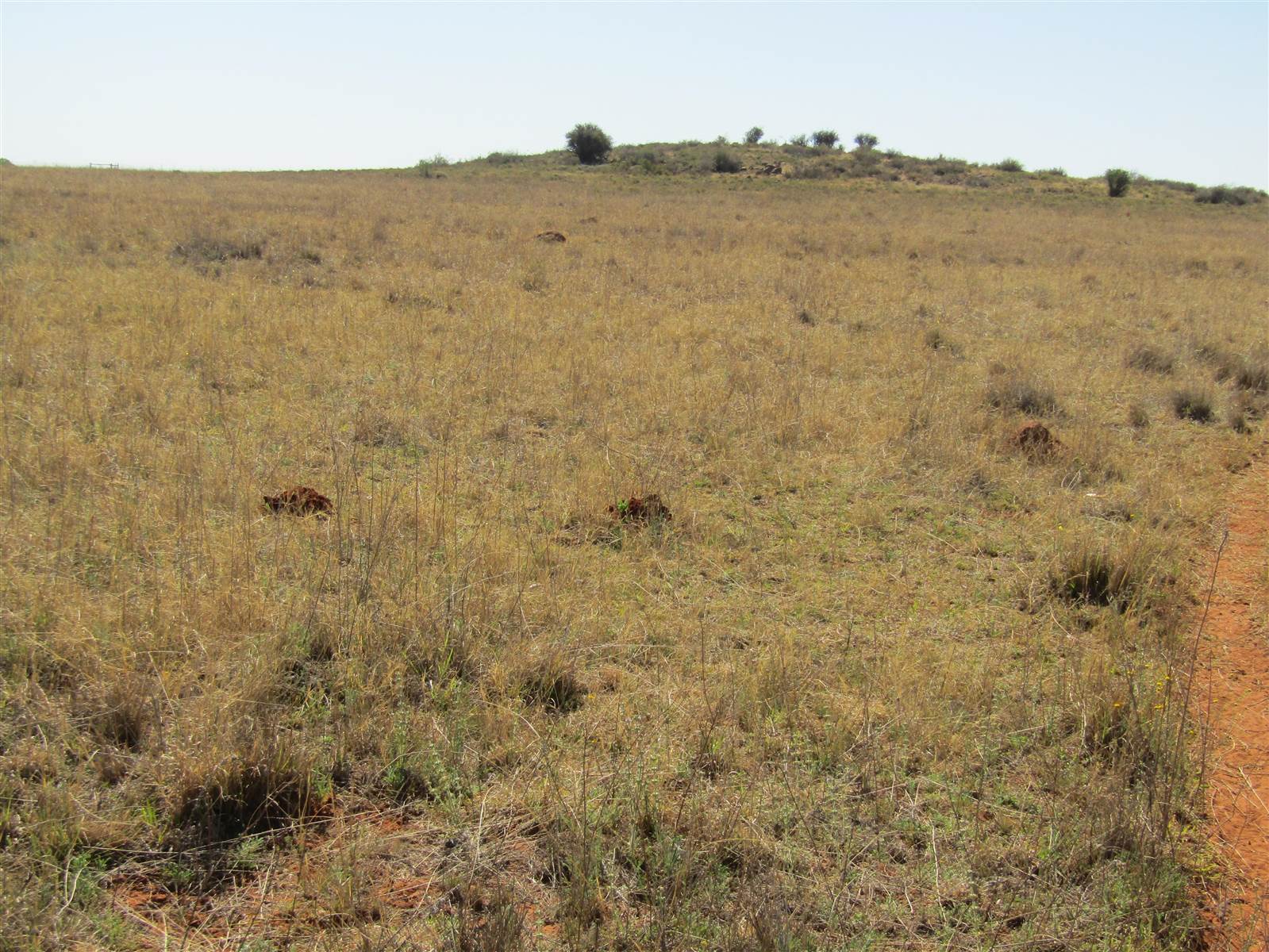 8 ha Land available in Bainsvlei photo number 11