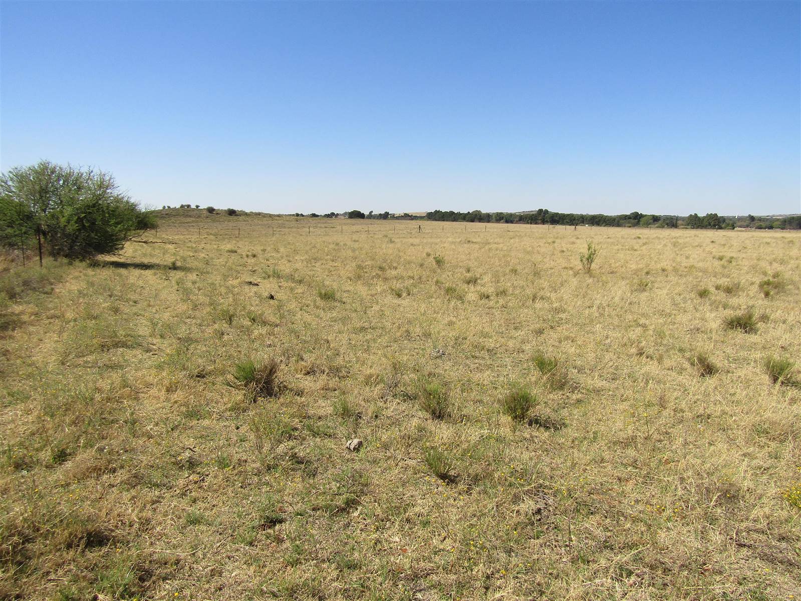8 ha Land available in Bainsvlei photo number 6