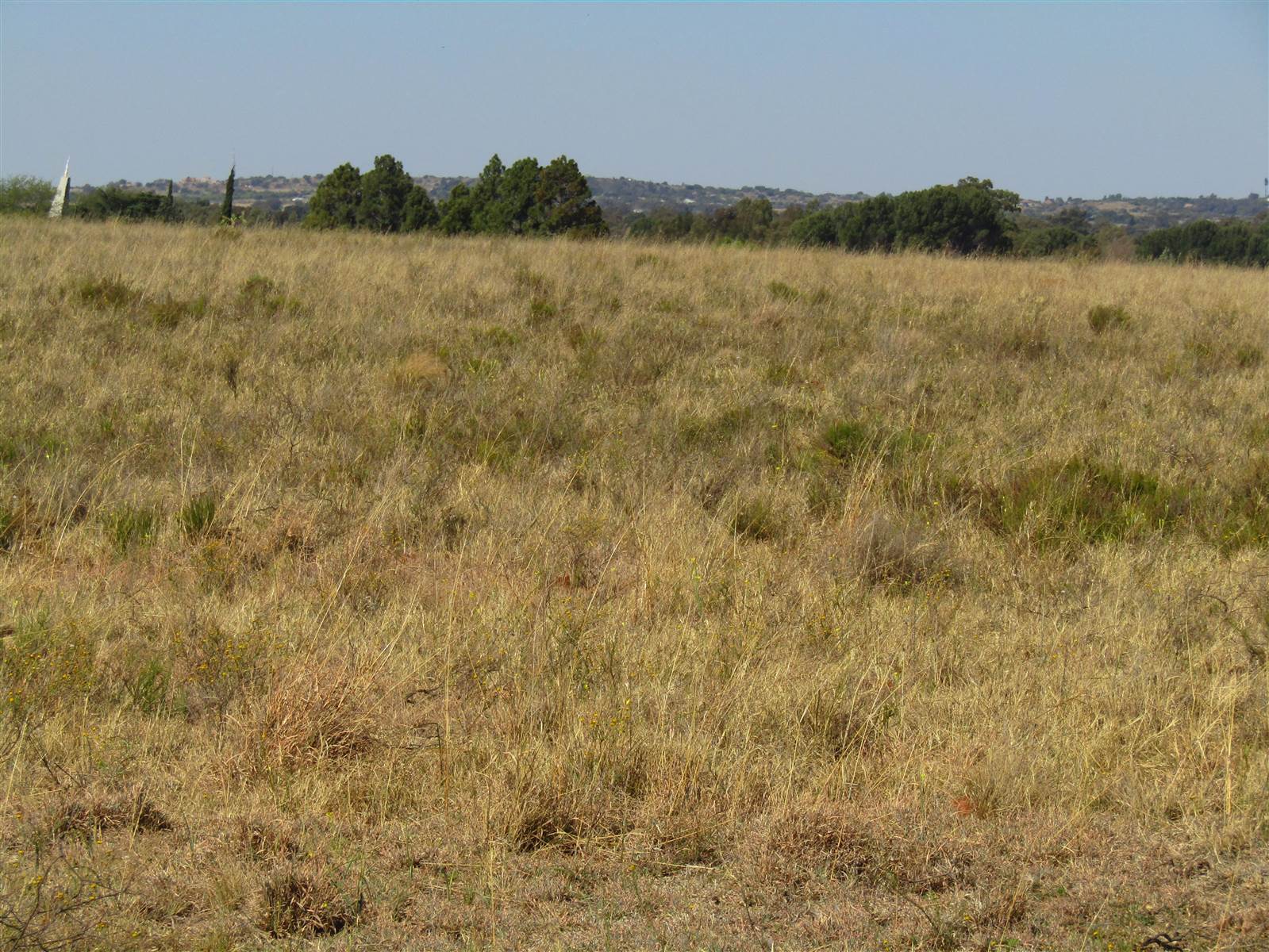 8 ha Land available in Bainsvlei photo number 9