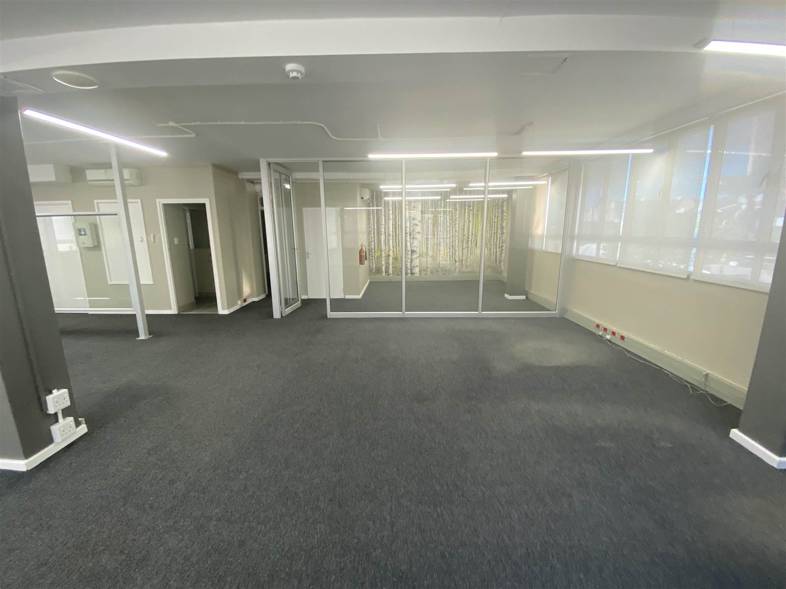 387  m² Commercial space in Windermere photo number 3