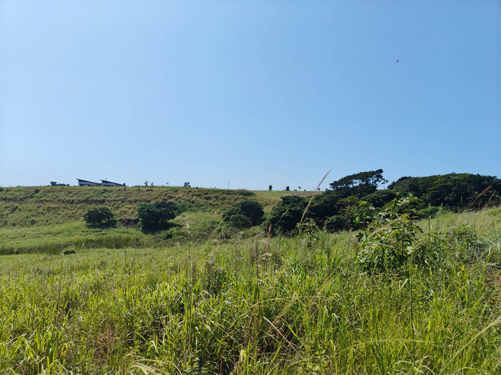 714 m² Land available in Sheffield Beach photo number 10