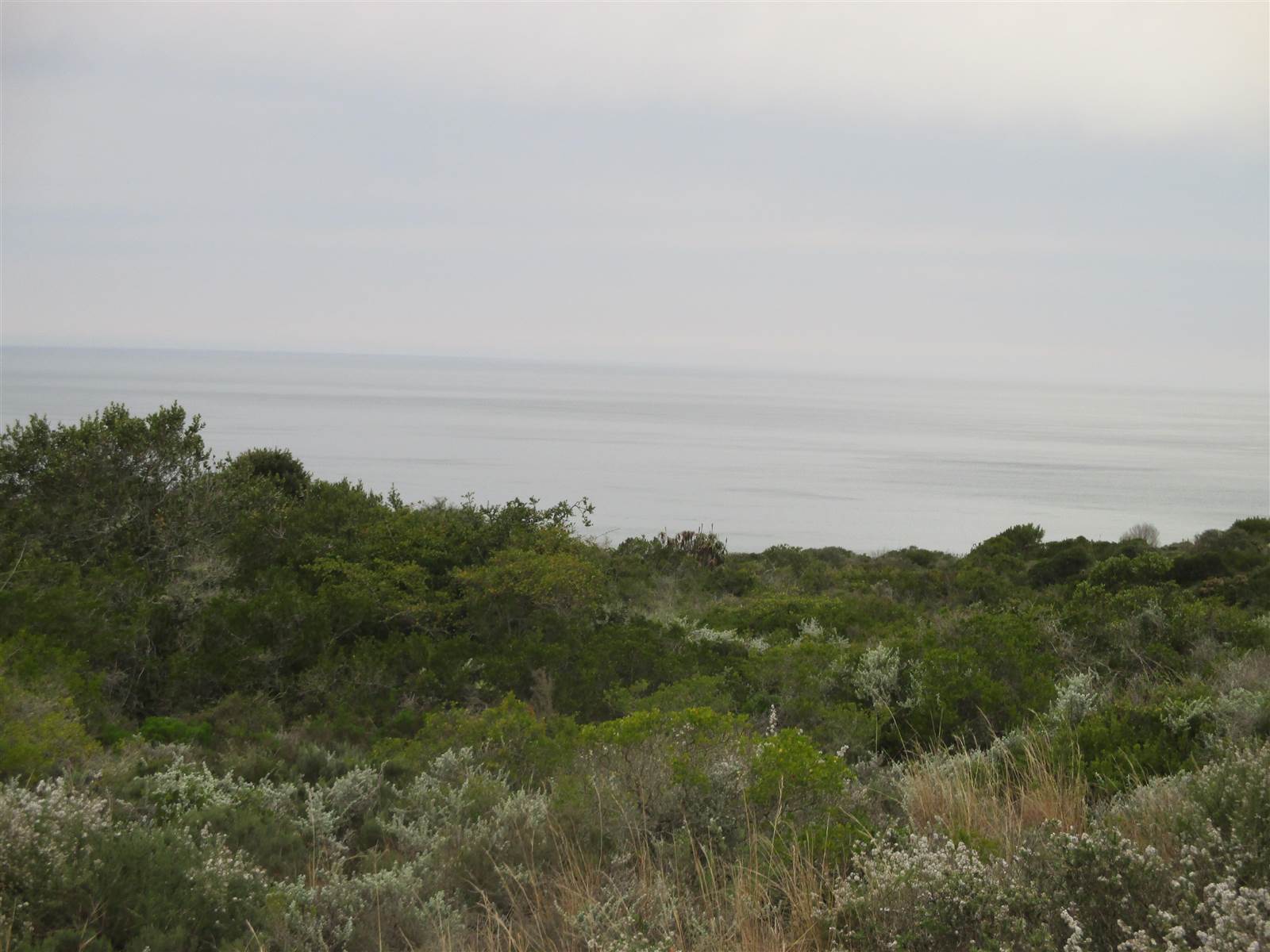 2760 m² Land available in Nautilus Bay photo number 14