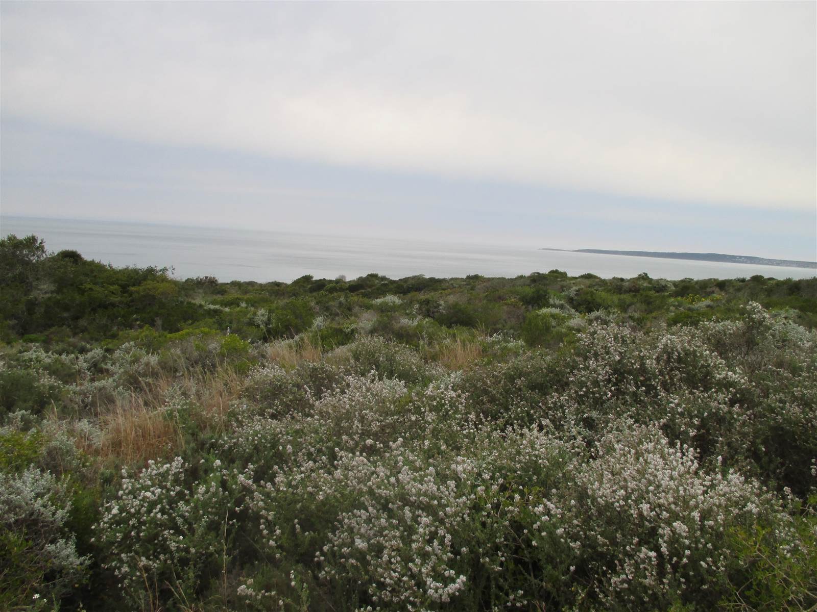2760 m² Land available in Nautilus Bay photo number 17