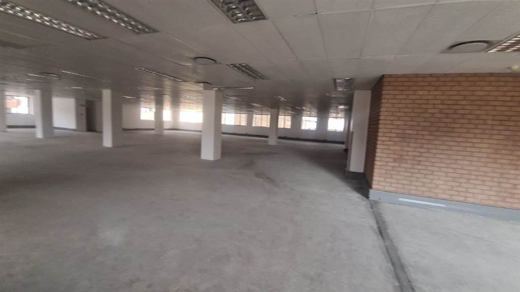 732  m² Commercial space in Arcadia photo number 5
