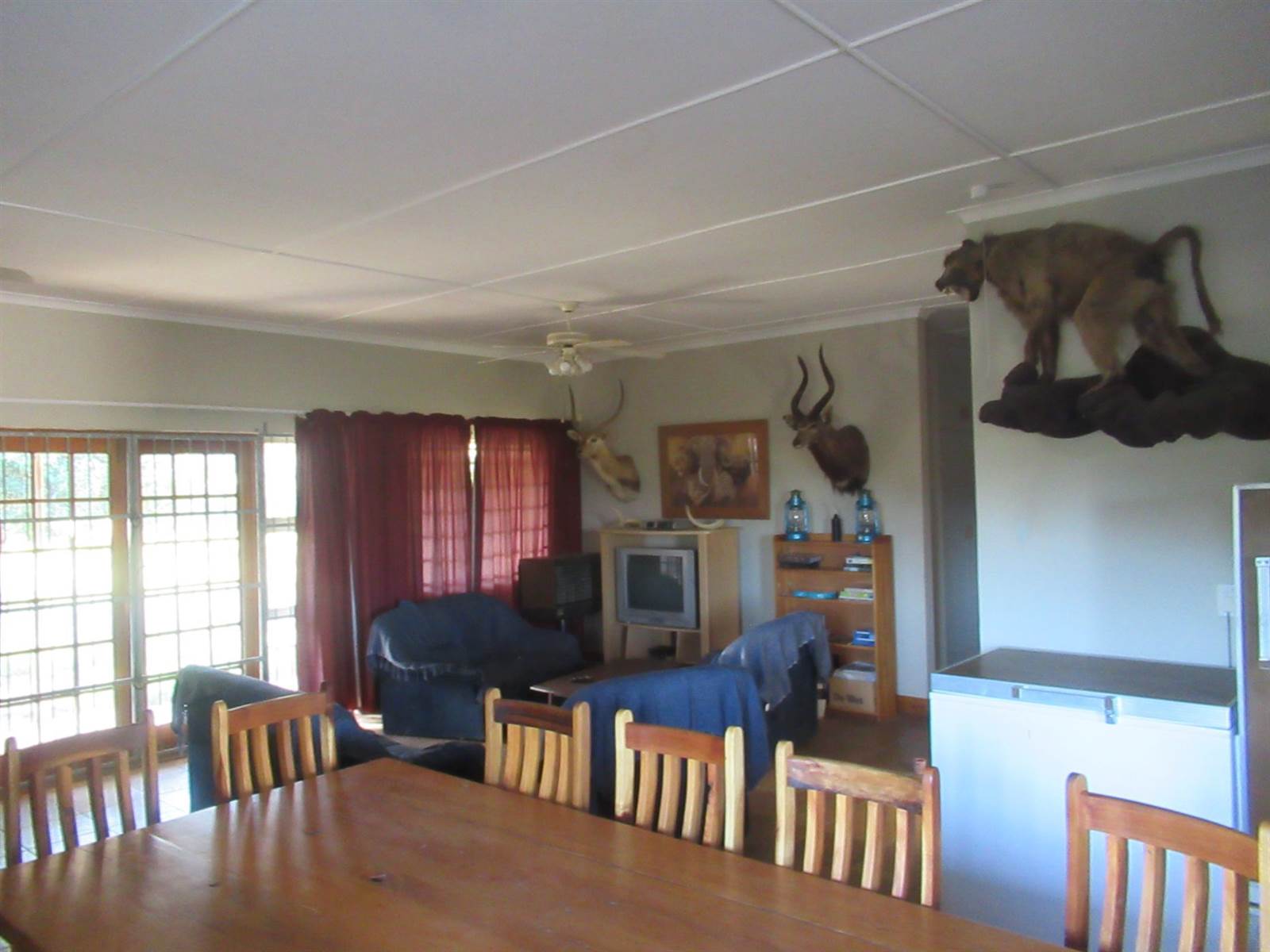 Game Farm in Grahamstown Central photo number 11