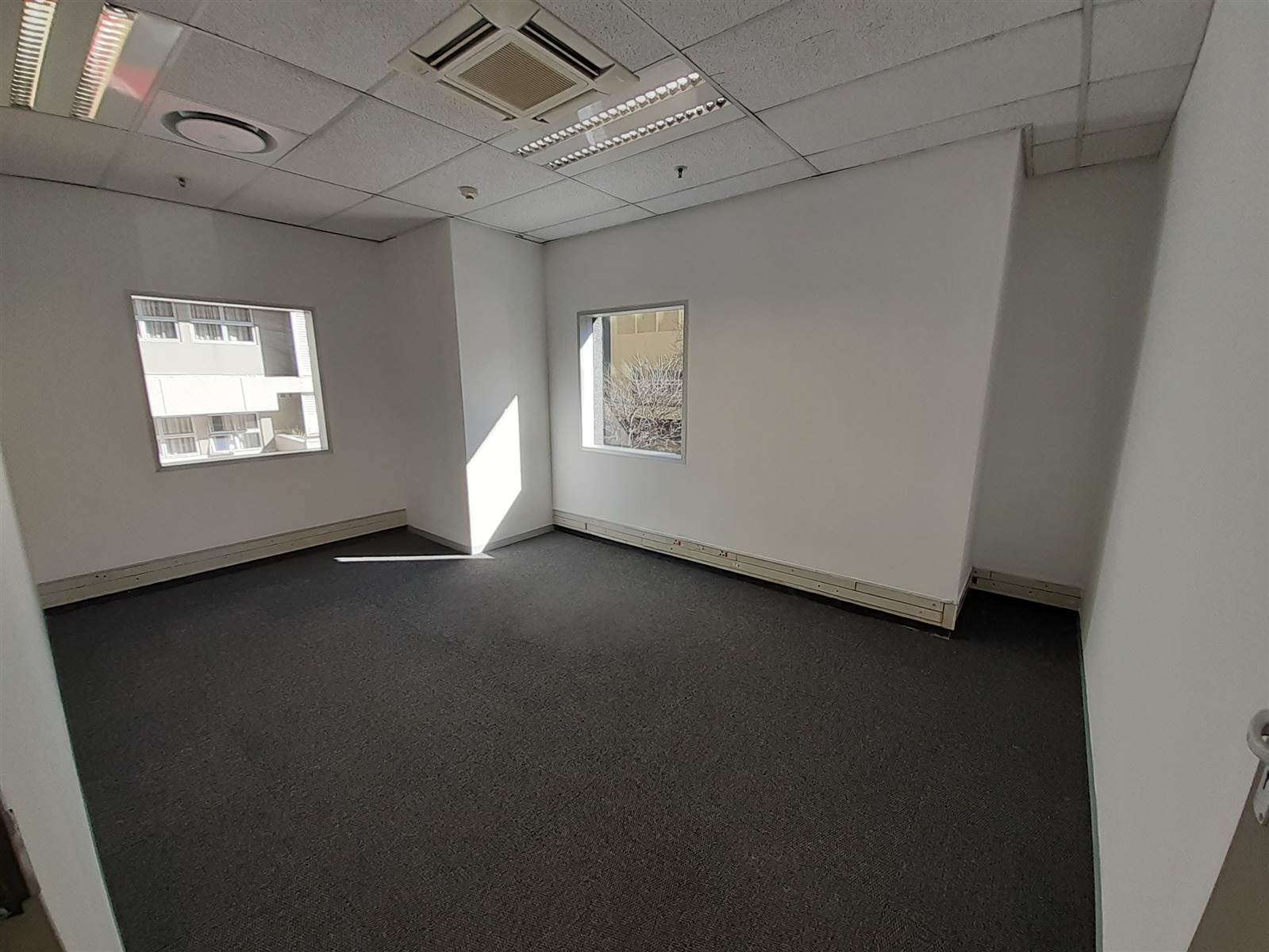 231  m² Commercial space in Foreshore photo number 7