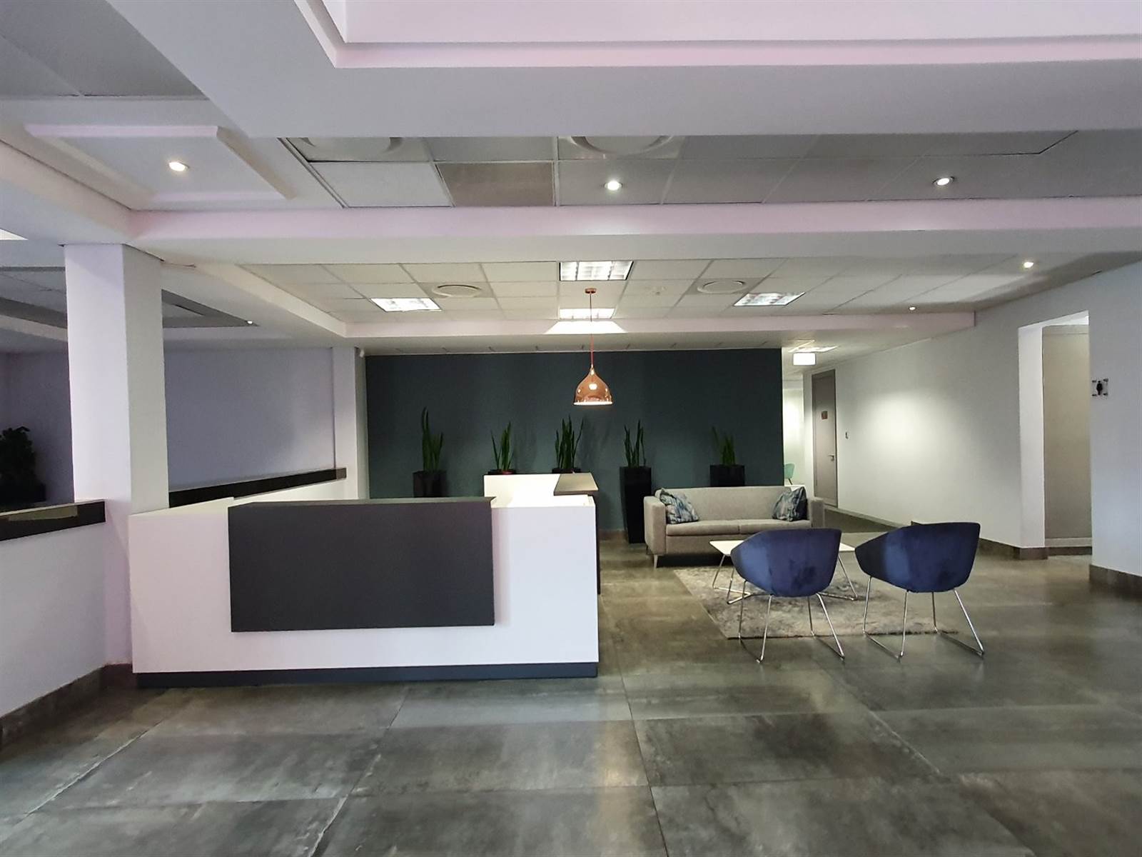 2017  m² Commercial space in Bryanston photo number 22