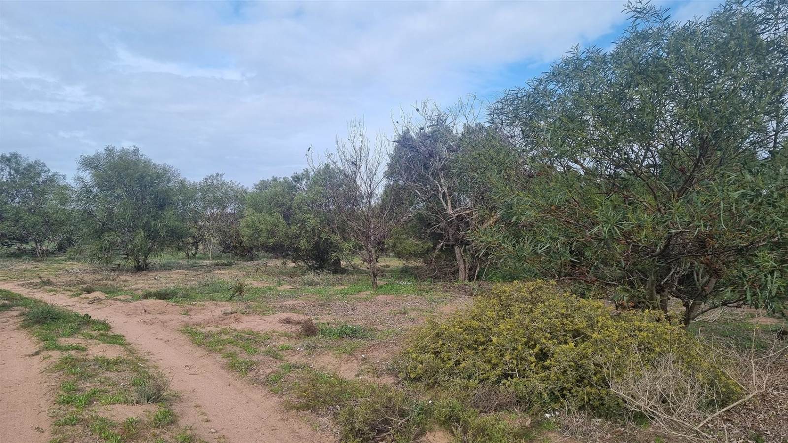 2.8 ha Land available in Long Acres photo number 7
