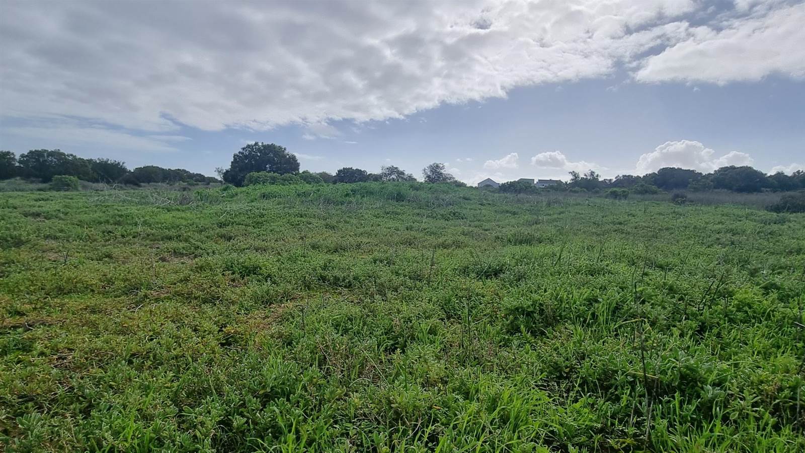 2.8 ha Land available in Long Acres photo number 4