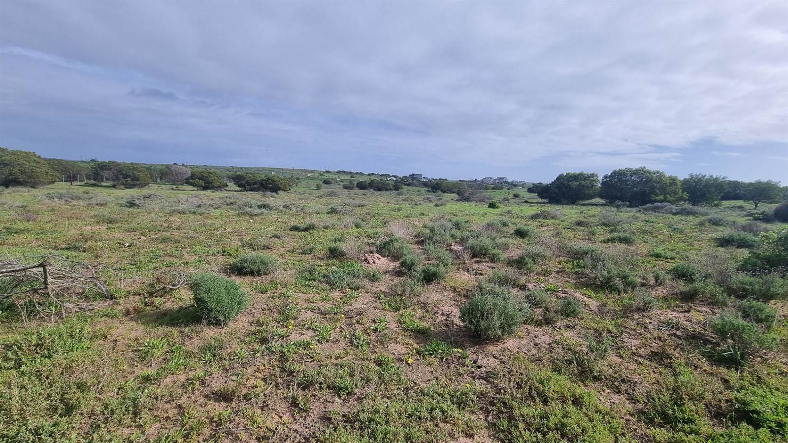 2.8 ha Land available in Long Acres photo number 13