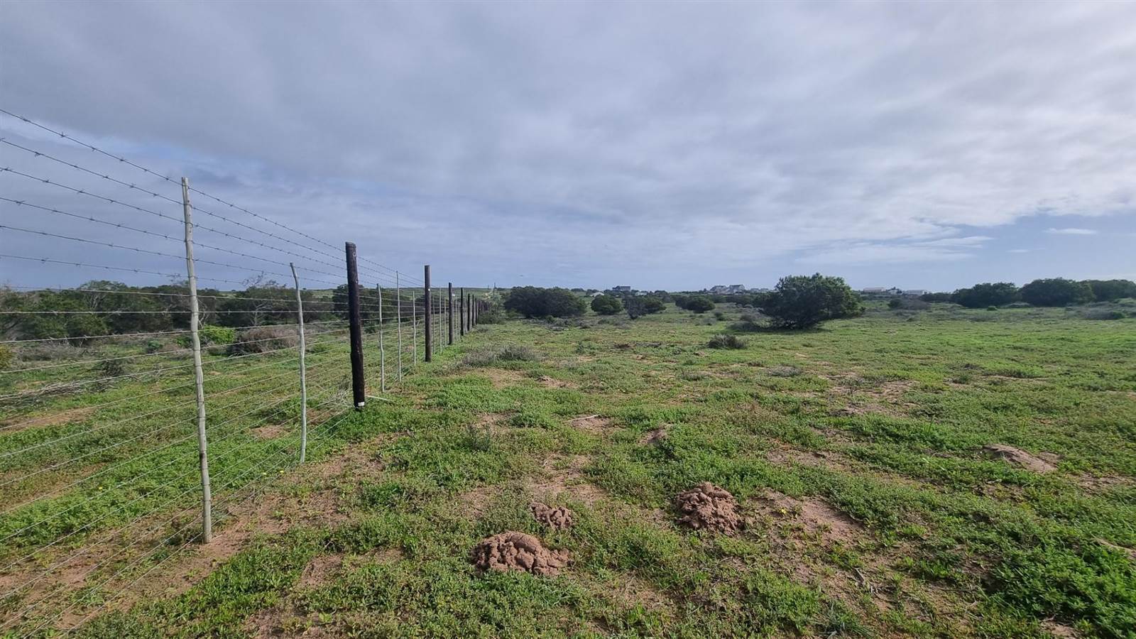 2.8 ha Land available in Long Acres photo number 10