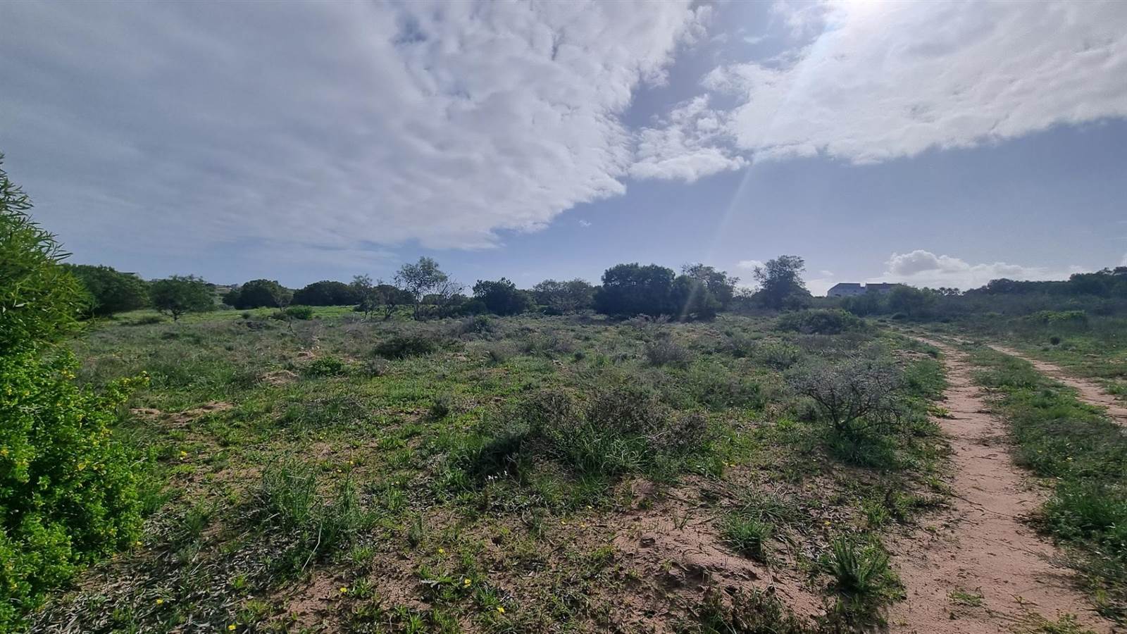 2.8 ha Land available in Long Acres photo number 8