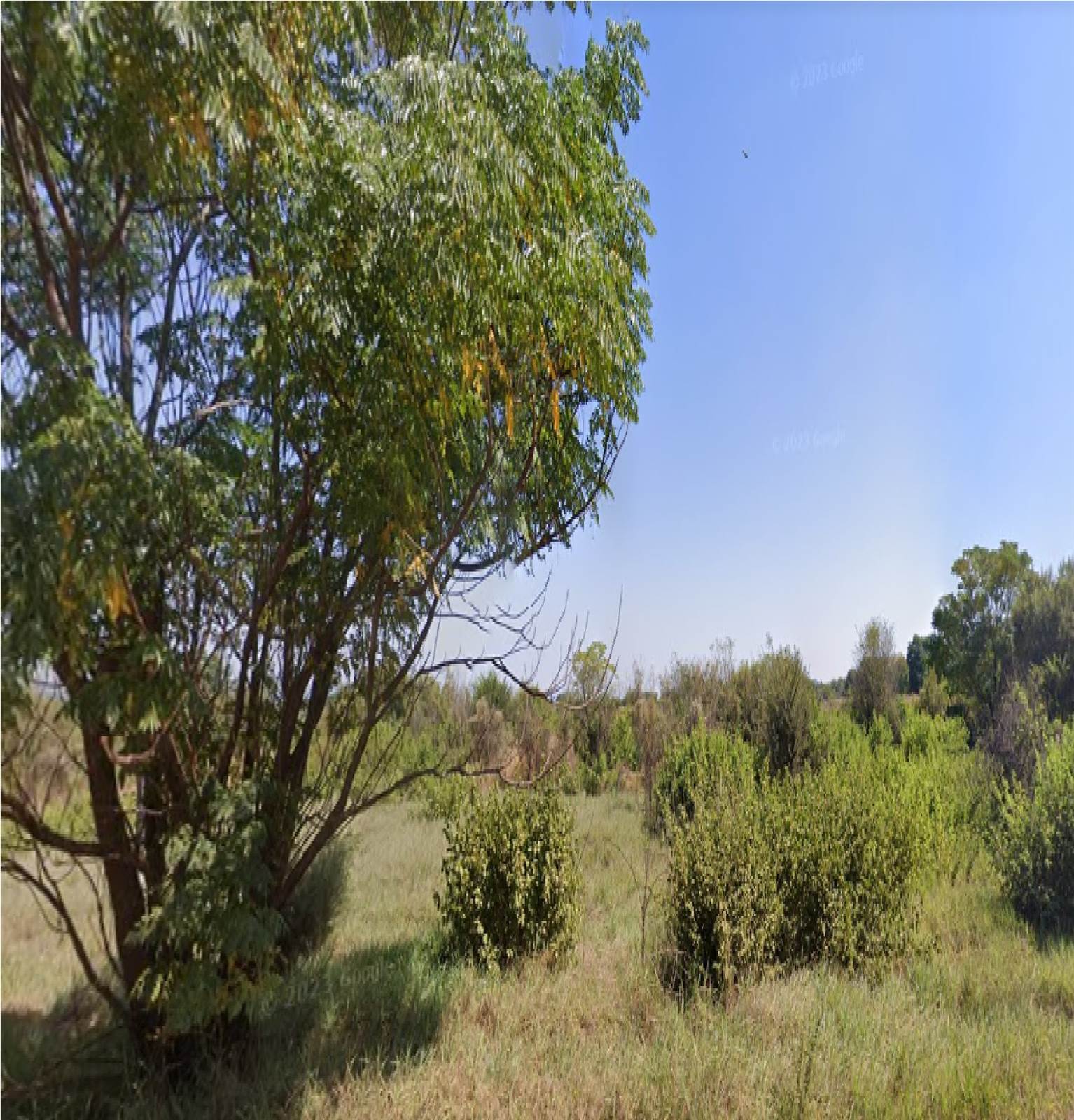 1 ha Land available in Kameeldrift East photo number 2