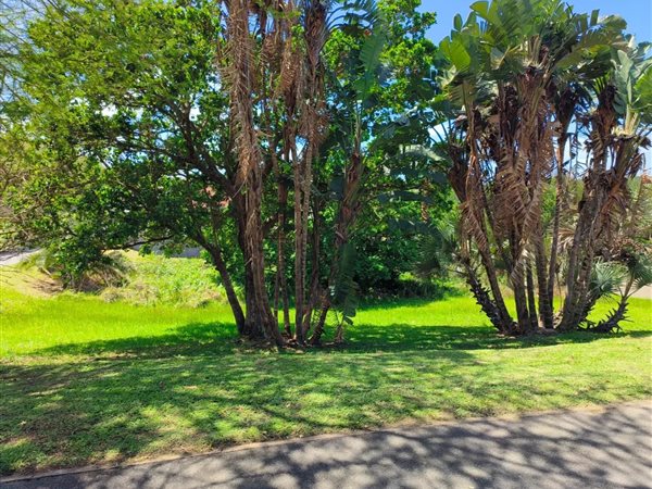 780 m² Land available in Shelly Beach