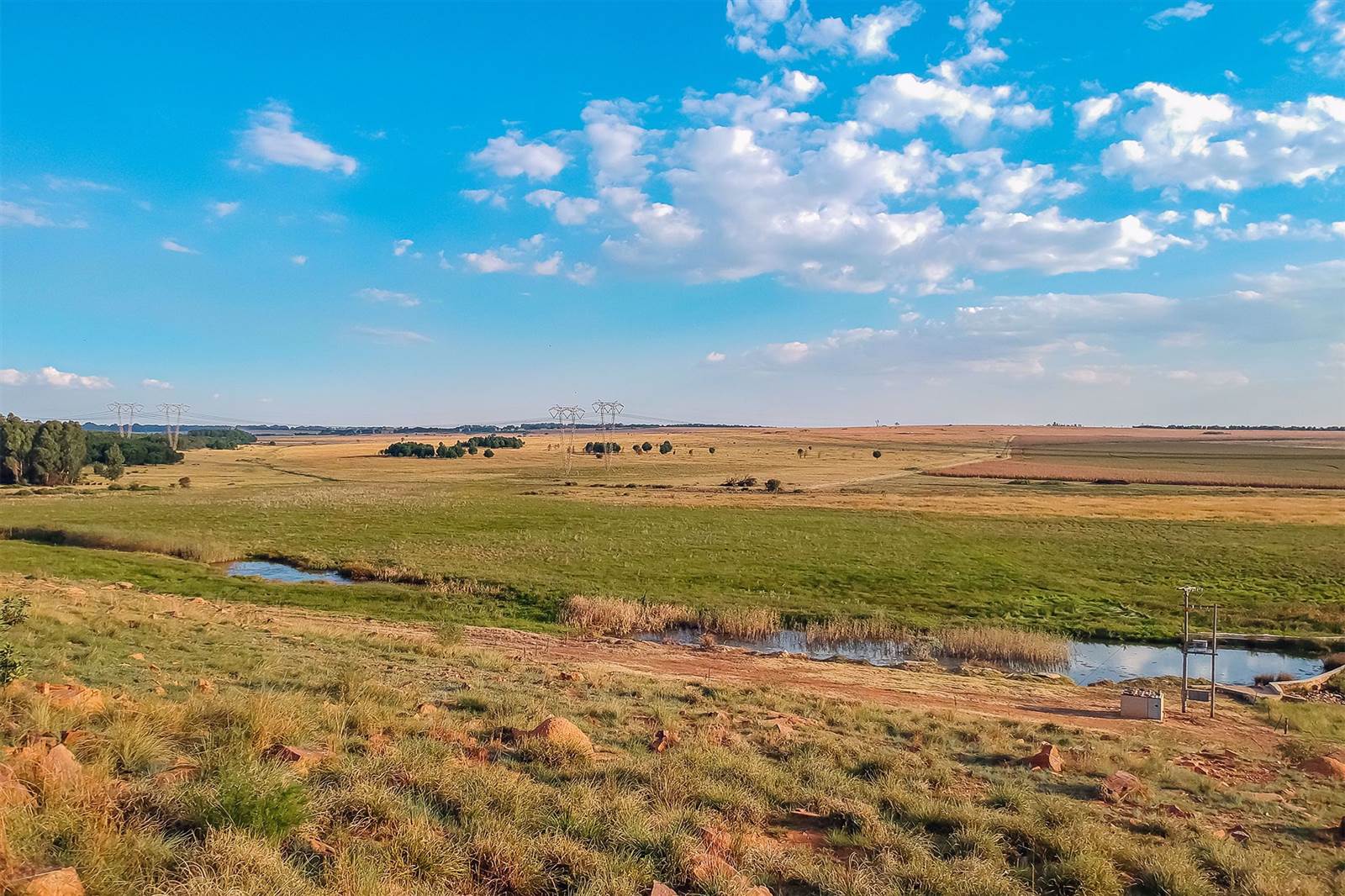 156.2 ha Farm in Grootfontein Estate photo number 9