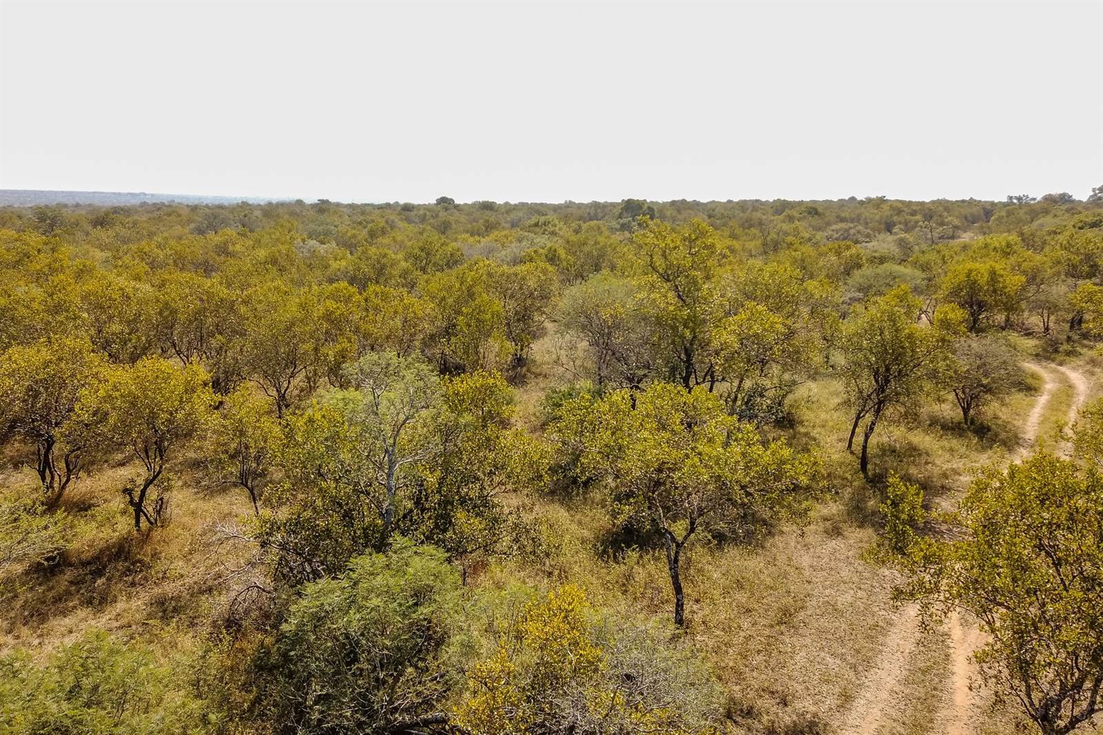 21 ha Land available in Dinokeng photo number 2