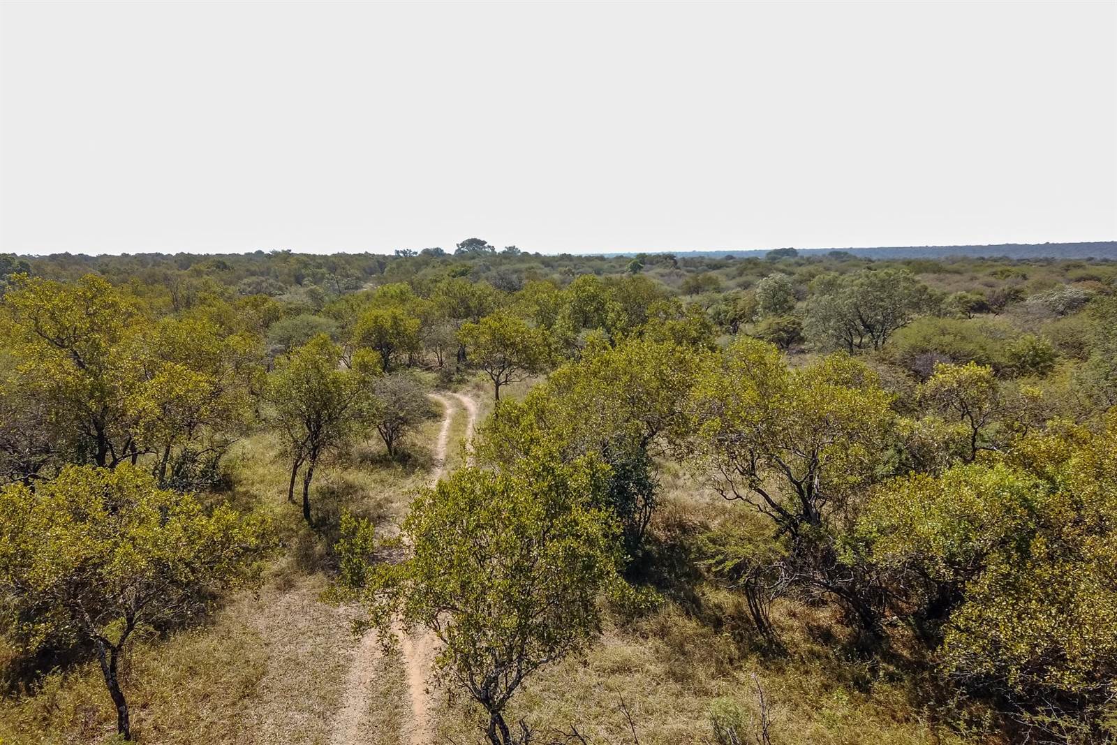 21 ha Land available in Dinokeng photo number 1
