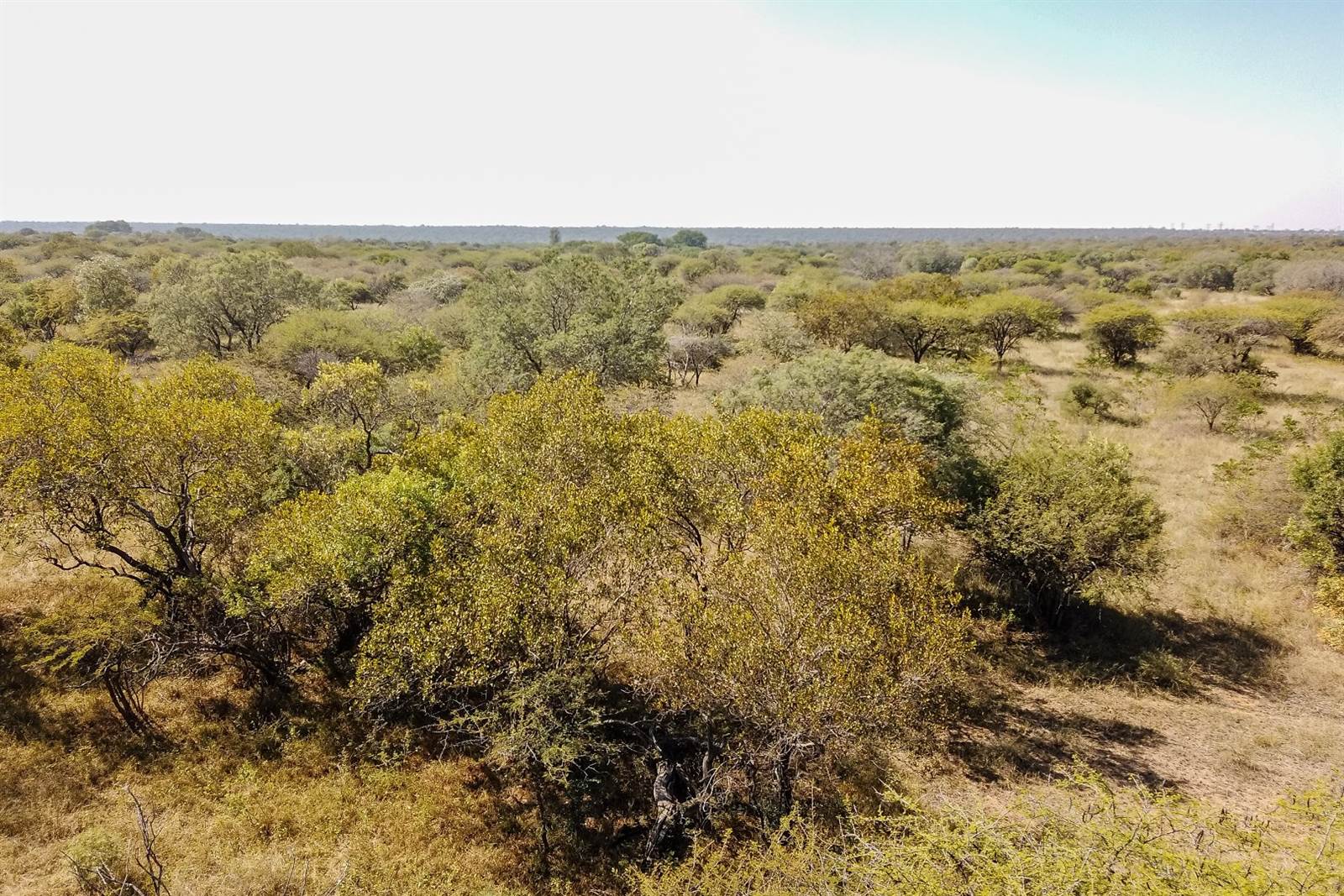 21 ha Land available in Dinokeng photo number 3