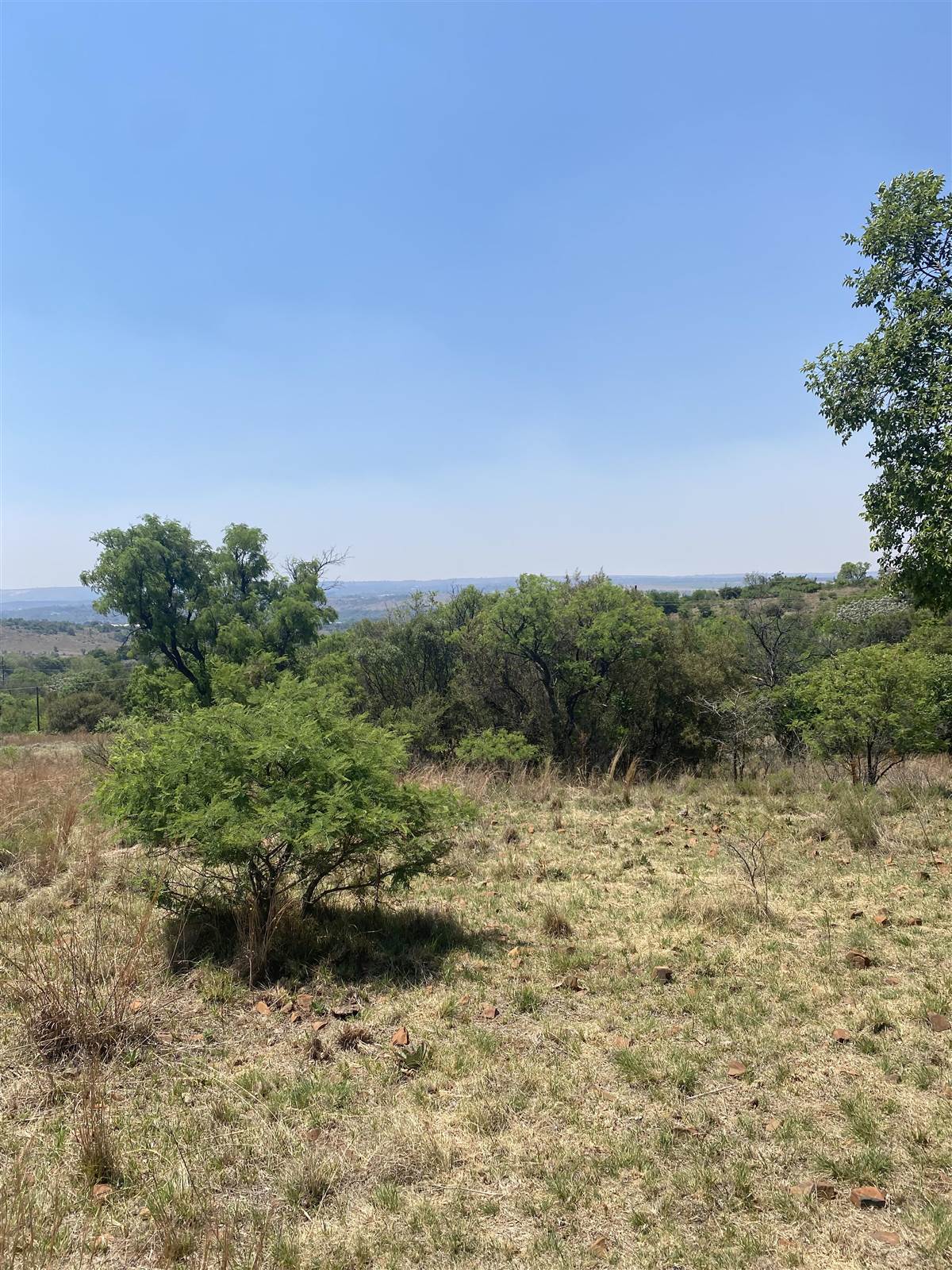 4 ha Land available in Tierpoort photo number 14