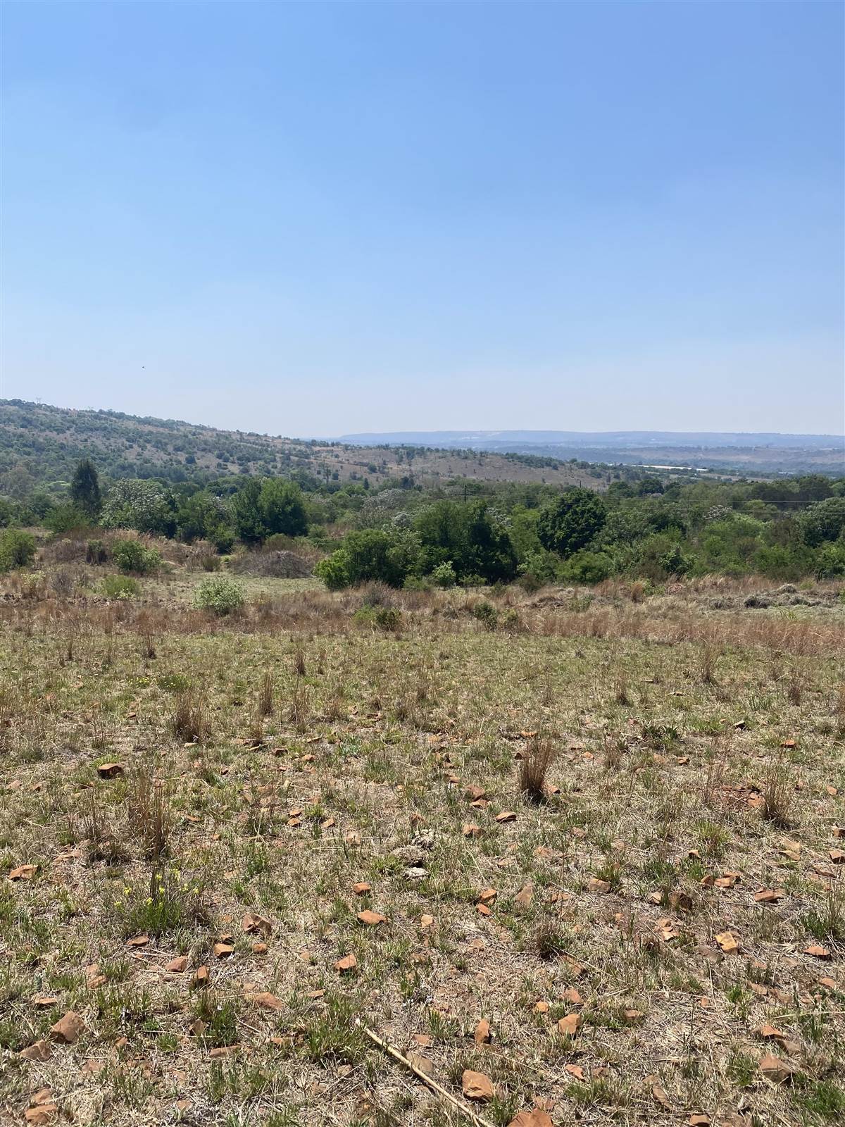 4 ha Land available in Tierpoort photo number 11