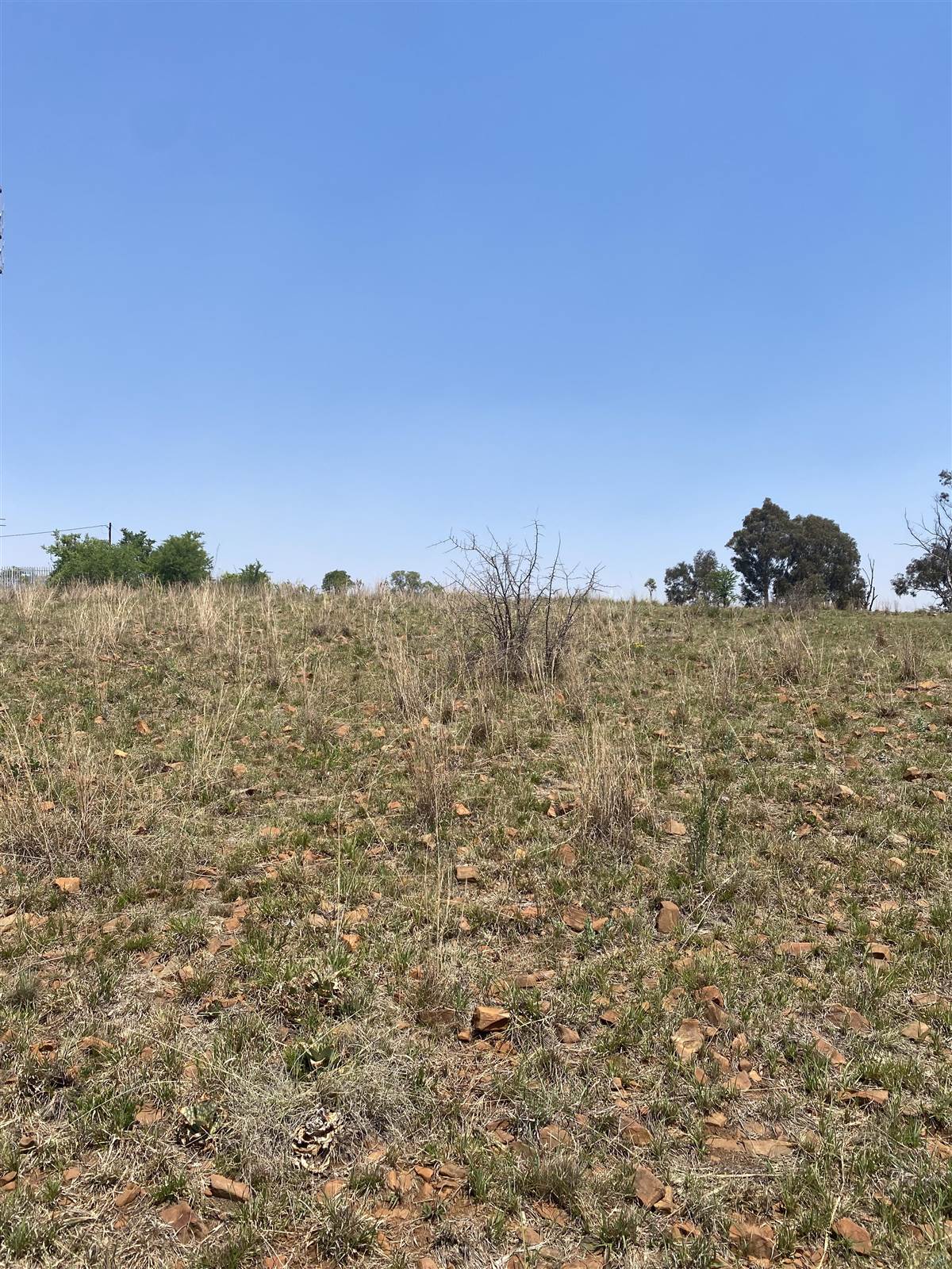 4 ha Land available in Tierpoort photo number 10