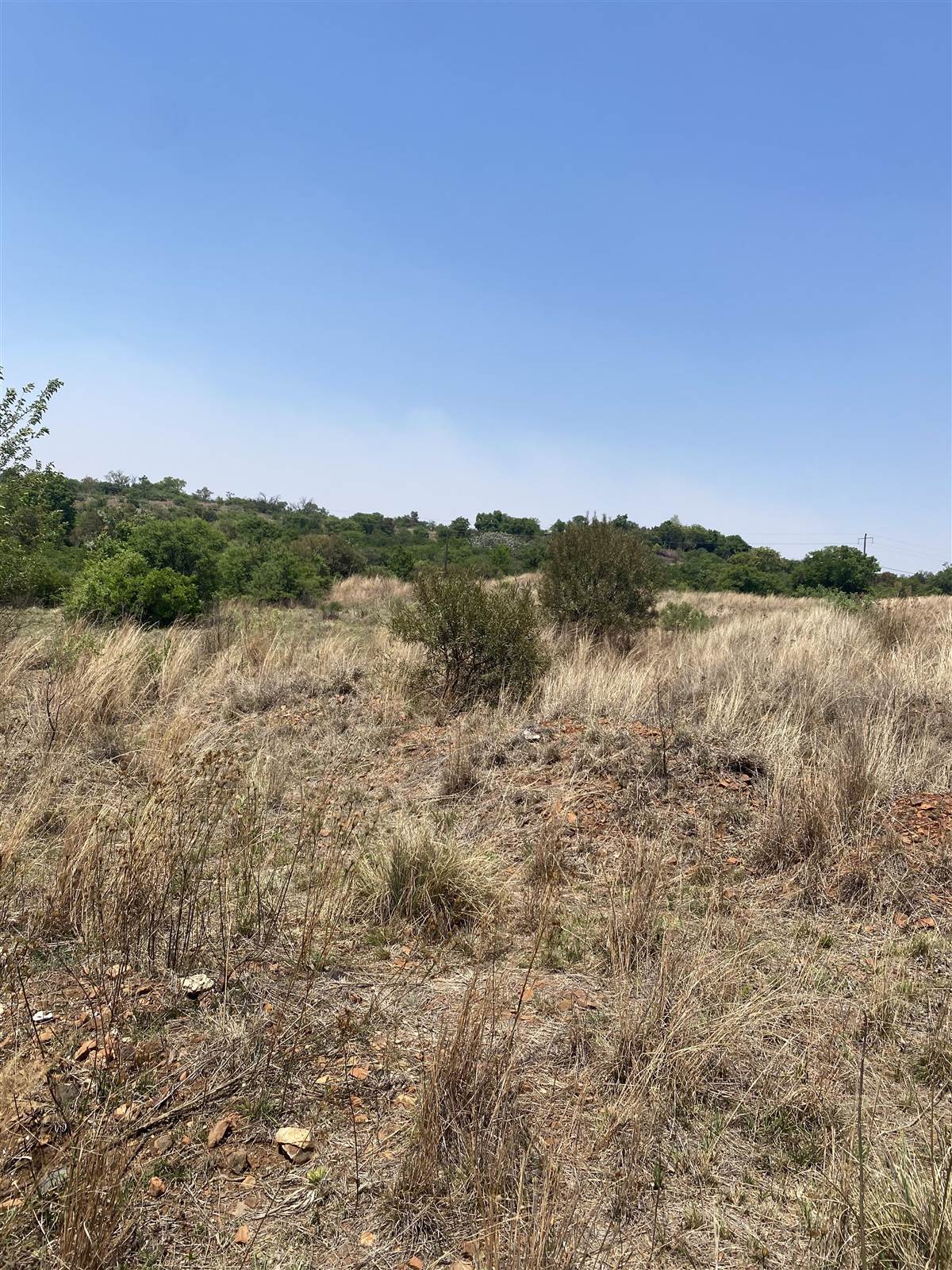 4 ha Land available in Tierpoort photo number 16