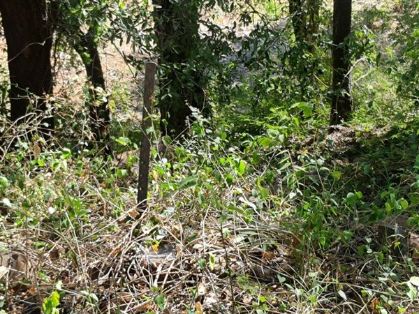 2 730 m² Land 2 730 m² Land