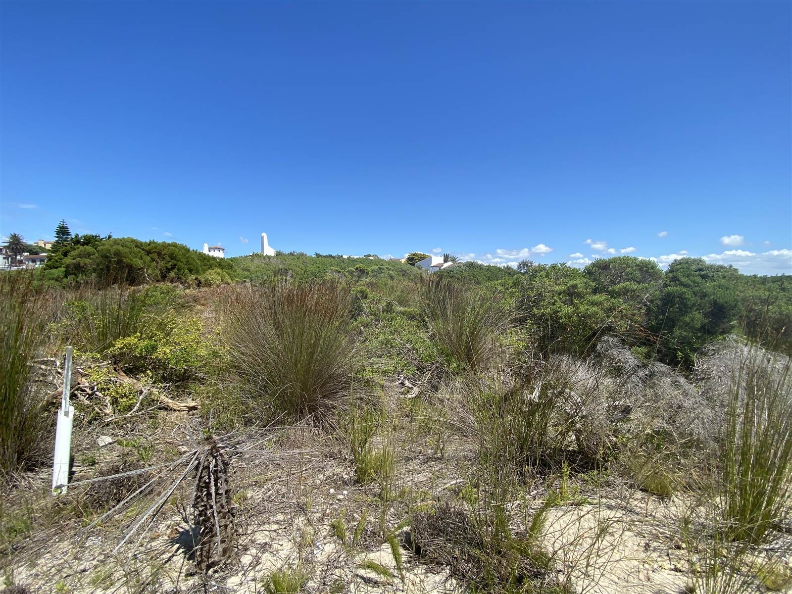1174 m² Land available in Santareme photo number 2