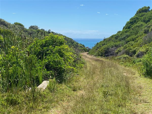 1174 m² Land available in Santareme