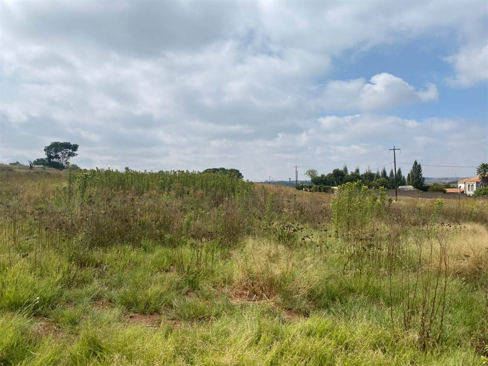 1 ha Land available in Grootfontein Estate photo number 2