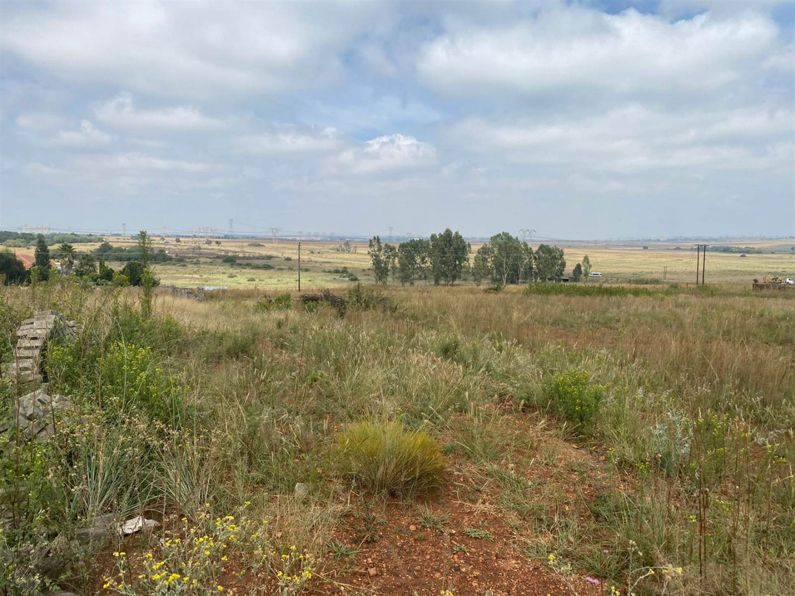 1 ha Land available in Grootfontein Estate photo number 9