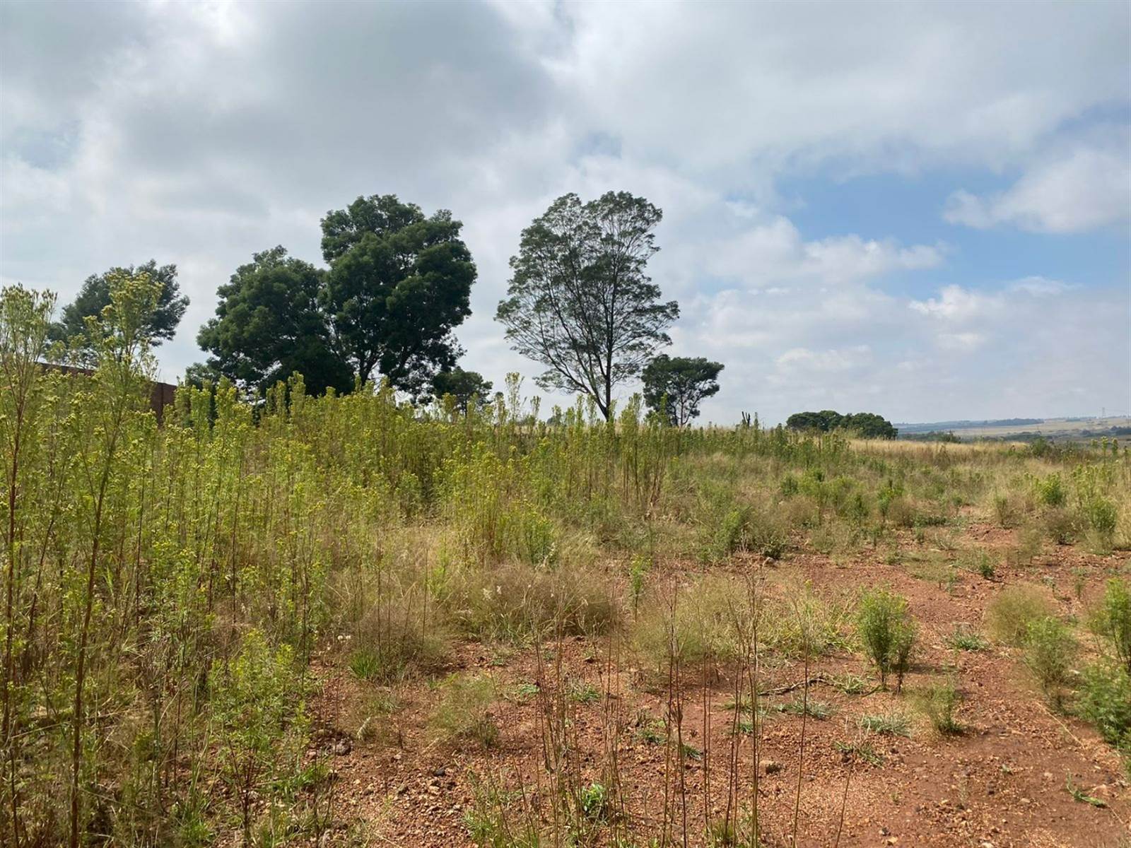 1 ha Land available in Grootfontein Estate photo number 5